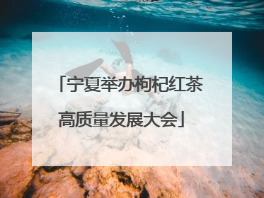 宁夏举办枸杞红茶高质量发展大会